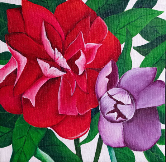 Peonies | Paeonia